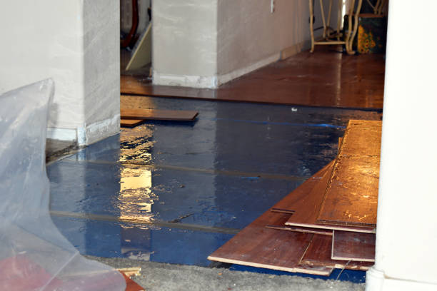 Professional Sewage Cleanup technician working in Cambridge, IL